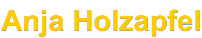 logo Holzapfel Steuerberatung